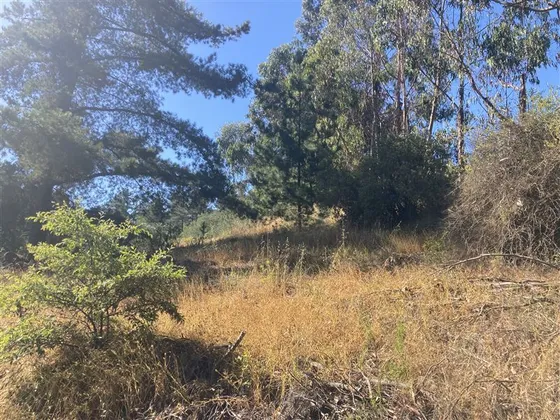 Sitio En Venta En Zapallar