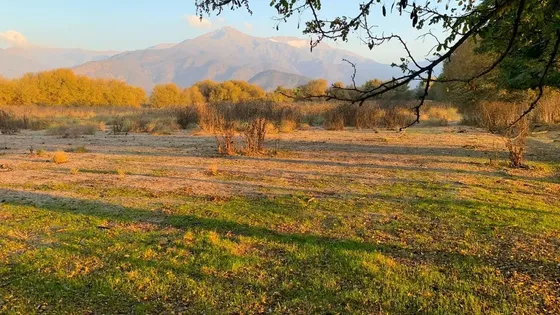 Parcela 4,5 Ha, Aculeo, Paine, Derechos De Agua Y Pozo 15 M