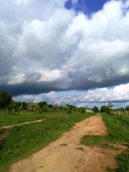 Finca Fundo Los Tanques, San Carlos. Edo. Cojedes   Plt-181