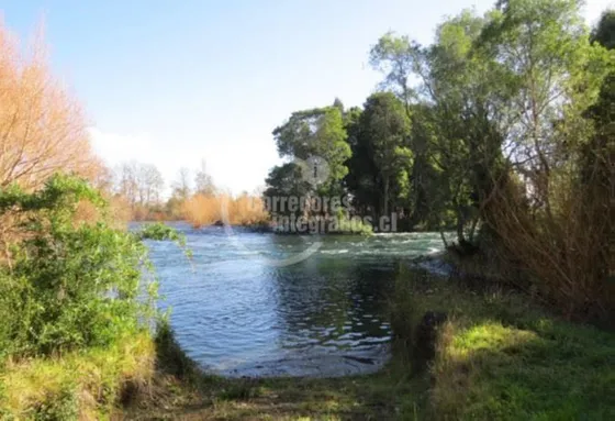 Sitio En Venta En Futrono