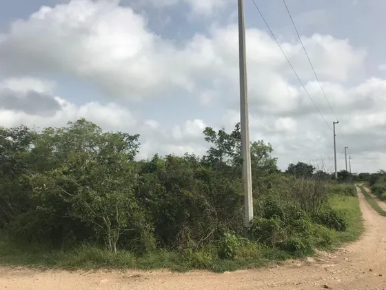 Terreno En Venta En Las Quintas Cholul
