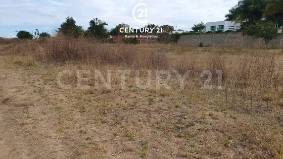 Se Venden 3 Lotes De Terreno En Tlalixtac