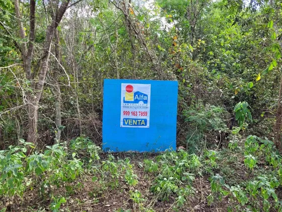Terreno En Venta En Tahdzibichen, Mérida, Ideal Para Desarrollos