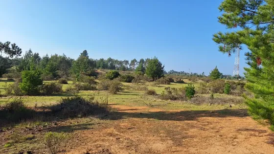 Proyecto San José De Tunquén Parcelas Desde 5 A 10 Ha.