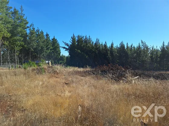 Sitio En Venta En Pichilemu.