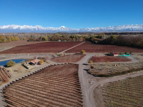 Cabaña Del Alto Tupungato Valle De Uco Mendoza Casa De Campo