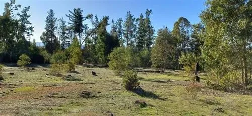 Parcelas Rol Propio Planas En Cauquenes (102856)
