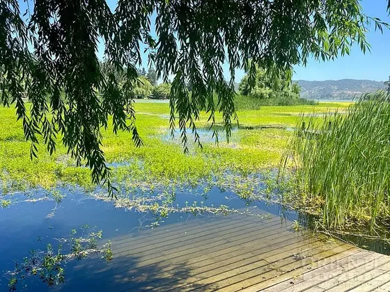 Lago Rapel , Tu Casa Ideal Con Muelle Propio