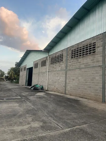 En Venta Galpones. Encrucijada De Palo Negro. Maracay.aragua