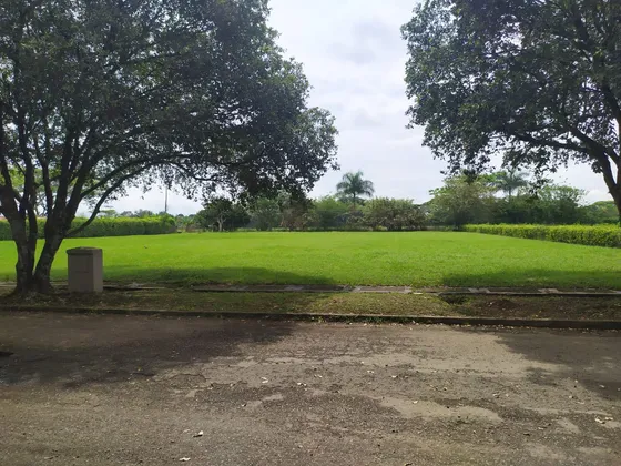 Vendo Lote En Espectacular Condominio Campestre Privilegio