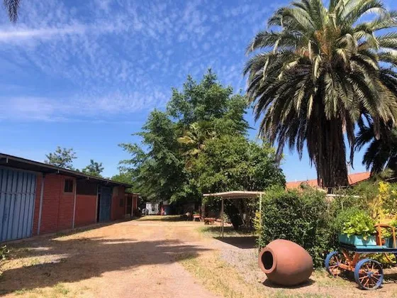 Agrícola En Venta En Rengocon Casa Patronal , Bodegas 