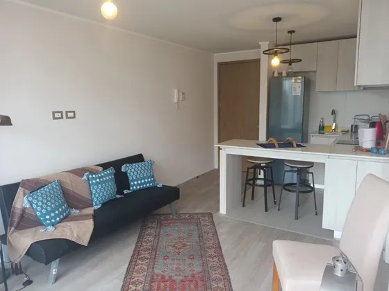 Se Vende Depto. 1d1b Ideal Para Inversión Costas De Montemar