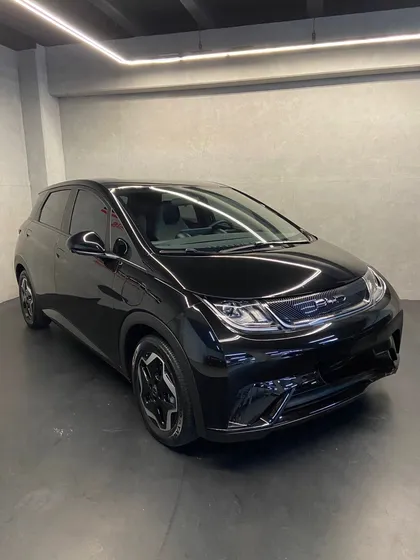 Byd Dolphin Gs