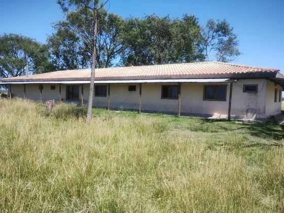 Campo En Venta - Saladillo - 500 Ha.