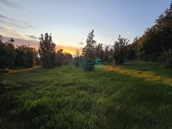 Agrícola En Venta En Palena