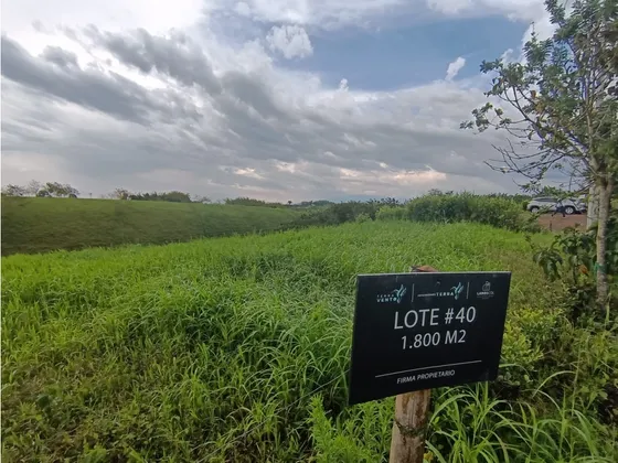 Lote En Venta Via Alcala 