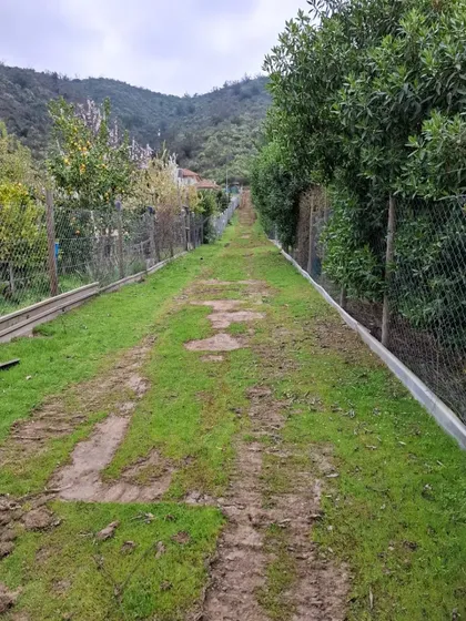 Parcelas Con Rol - En Ladera Cerro Bollenar- Mallarauco