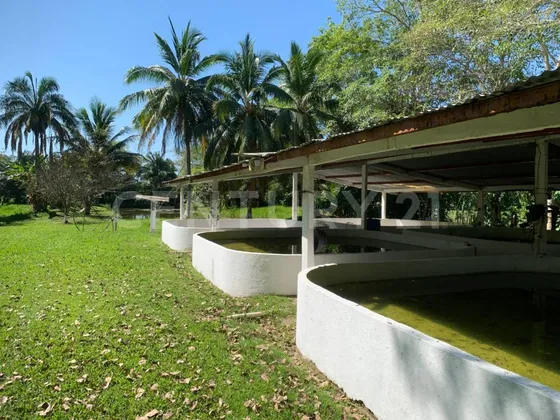 Rancho En Venta En Carr. Villahermosa A Macuspana, Tequila, Jalapa Tabasco