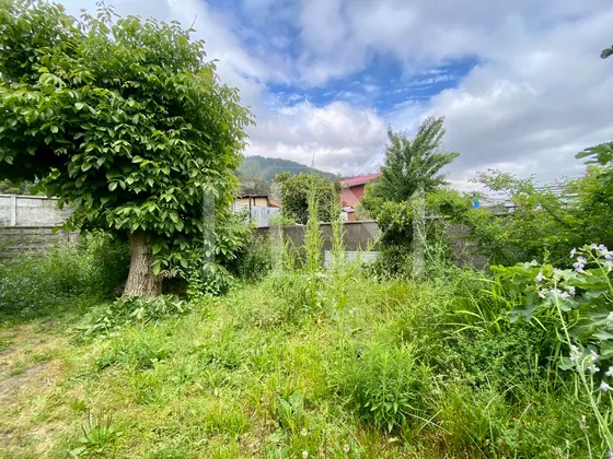 Amplio Terreno Con Casa Para Desarme En Chiguayante
