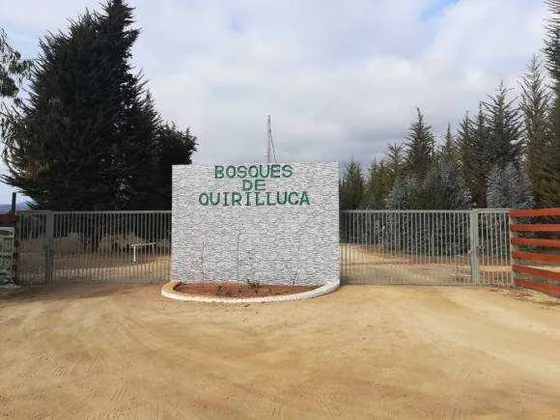 Invierte En Bosque De Quirilluca (84472)