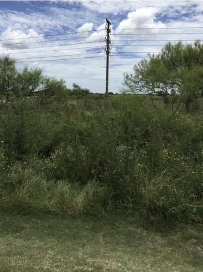 Terreno En  Ensenada A 1700 Mts De Au Buenos Aires La Plata 
