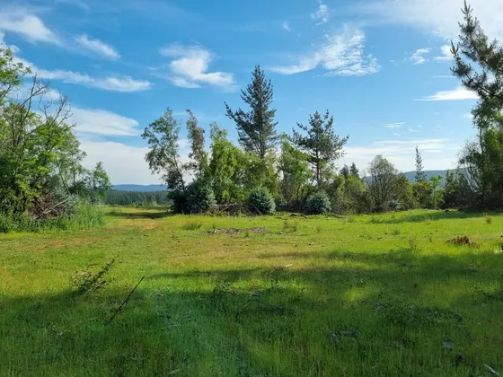 Terreno 28 Ha Potencial Agrícola E Inmobiliario Nuevo Precio