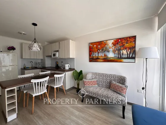 Arriendo Departamento Amoblado Marzo A Diciembre