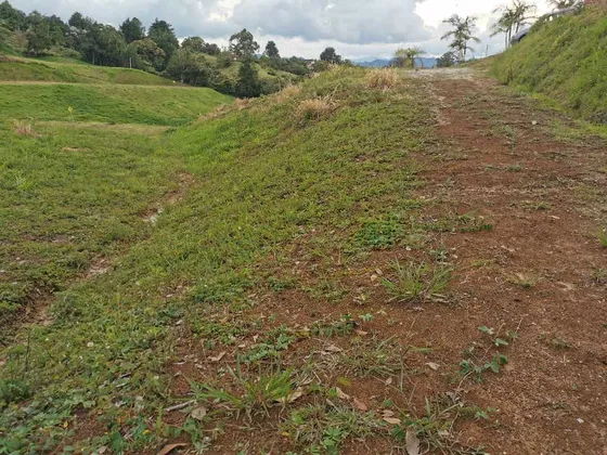 Venta De Lote En El Carmen De Viboral
