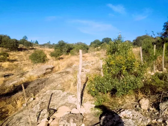 Terreno En Venta - Flor Serrana, Tanti