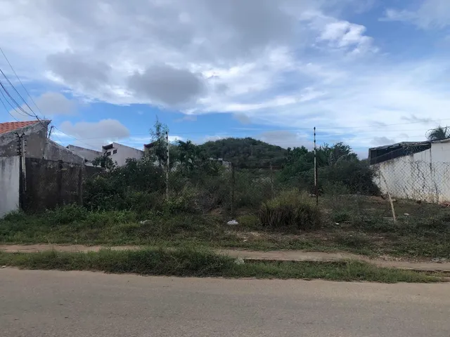 En Venta Terreno En Los Robles, Sector Mundo Nuevo Ic-00379