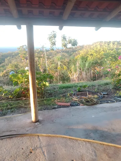 Chácara Formada E Estruturada Distrito De Lagoinha - Sto. Antonio D0 Descoberto - Go