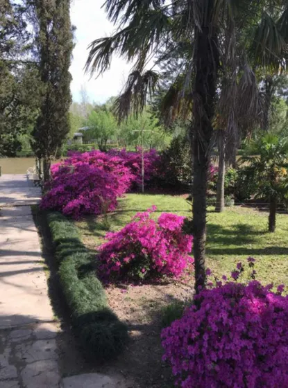 Casa Quinta En Venta - 2 Dormitorios 1 Baño - 15 Hectáreas - San Fernando
