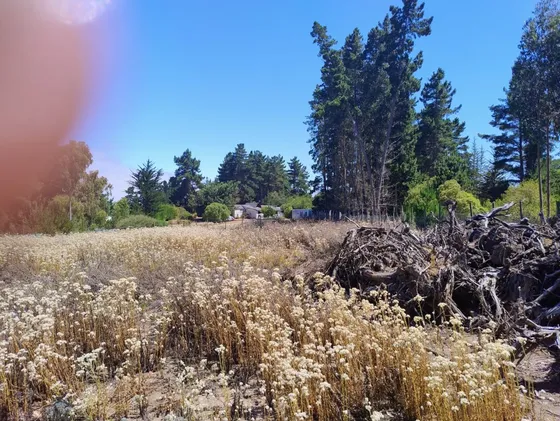 Arriendo Terreno Pinares Algarrobo 2800 M2 Aprox