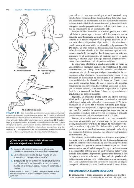 Libro Biomecánica Bases Del Movimiento Humano 4ta Edición