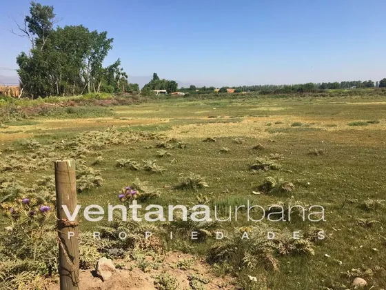 Lo Marcoleta / Quilicura C_420838