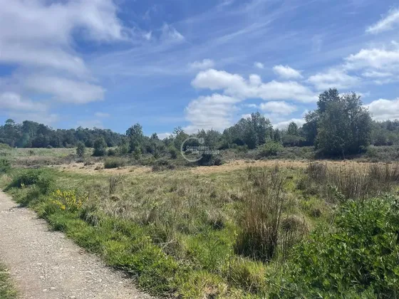 Sitio En Venta Nueva Braunau En Puerto Varas