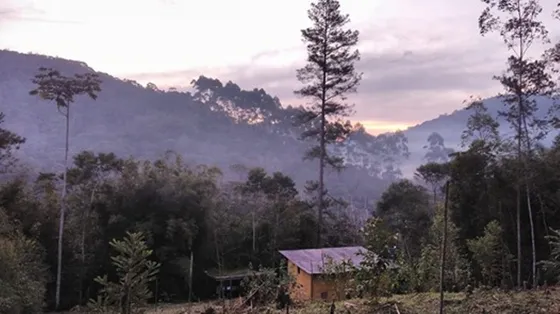Tiny House Em Sítio Permacultural Na Mata Atlântica