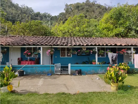 Vendo Finca San Vicente Ferrer Antioquia, 14 Hectáreas  Ch- Mo