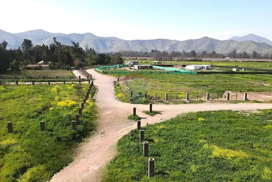 Parcela Rol Propio, 5000 M2 Calera De Tango