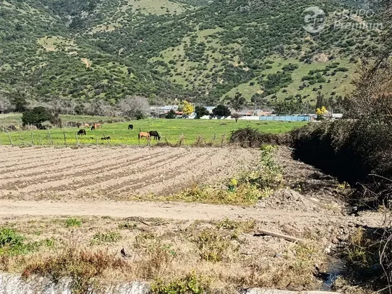 Venta Terreno Agrícola:36, 8 Has. En Lamarhue - Pichidegua