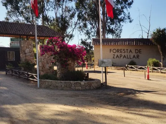 Amplia Y Acogedora Casa En La Foresta De Zapallar