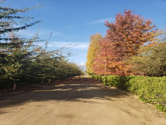 San Fernando, Terreno Con Excelente Ubicación En A...