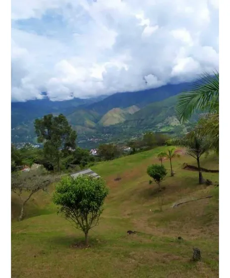 Lote San Jerónimo Loma Hermosa