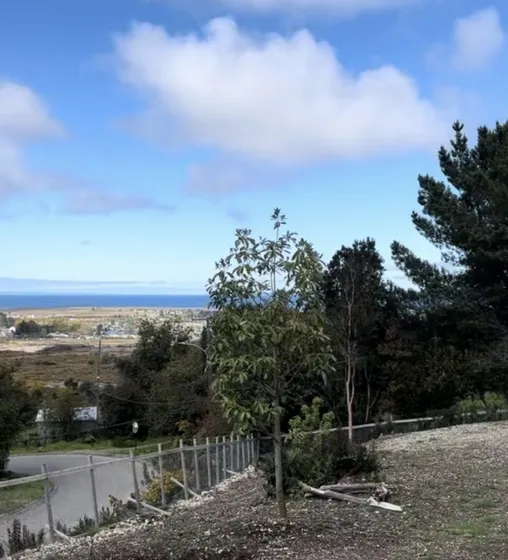 Parcela En Exclusivo Condominio  Playa Chamiza