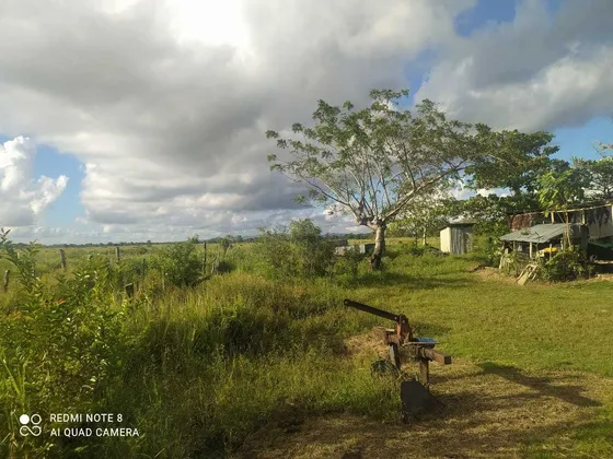 Te Vendo Excelente Finca En El Túnel De Altamira 