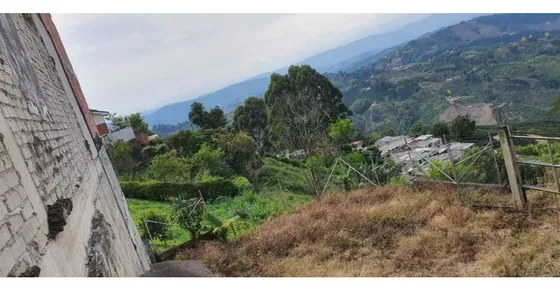 Venta Lote Parque De Palestina Caldas | Lotes Baratos En Venta