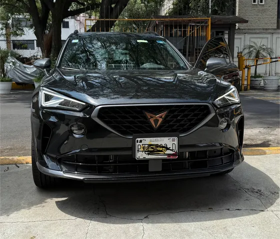 Cupra Formentor 2.0 Mid 190hp 2wd Dsg7