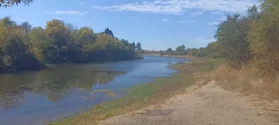 Se Vende Sitio Cauquenes 