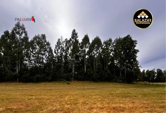 Parcelas Exclusivas En Reserva Palguin Panguipulli Lote 10