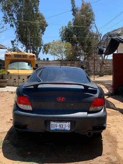 Tiburon